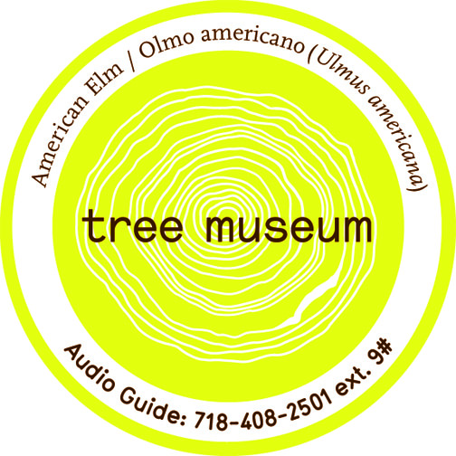 tree-museum-what